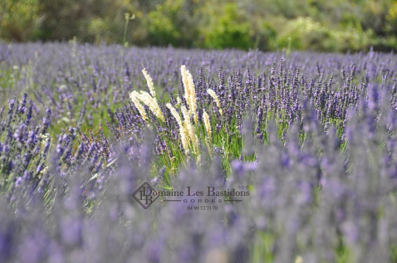 Domaine Les Bastidons Villa Gordes Bagian luar foto